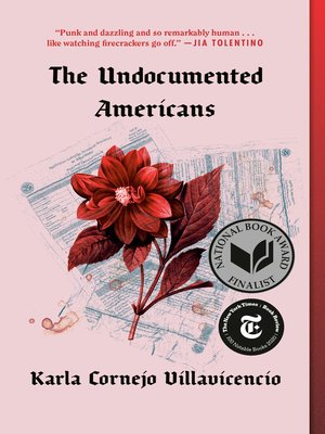 cover image of The Undocumented Americans